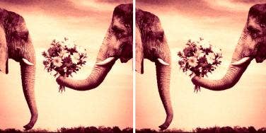 The Dating And Marriage Rituals In India And America - Essay Example